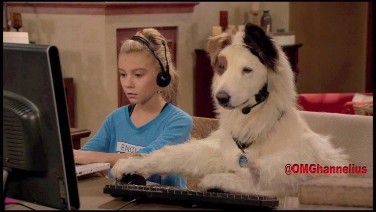 Dog with a Blog G Hannelius Dog With A Blog Season 1 highlights A collection