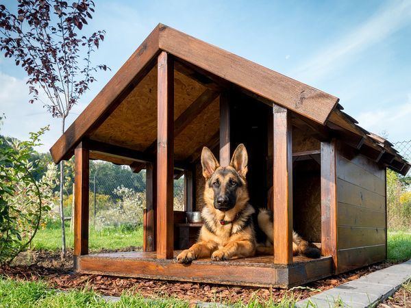 Doghouse 1000 ideas about Dog Houses on Pinterest Puppy room Dog rooms