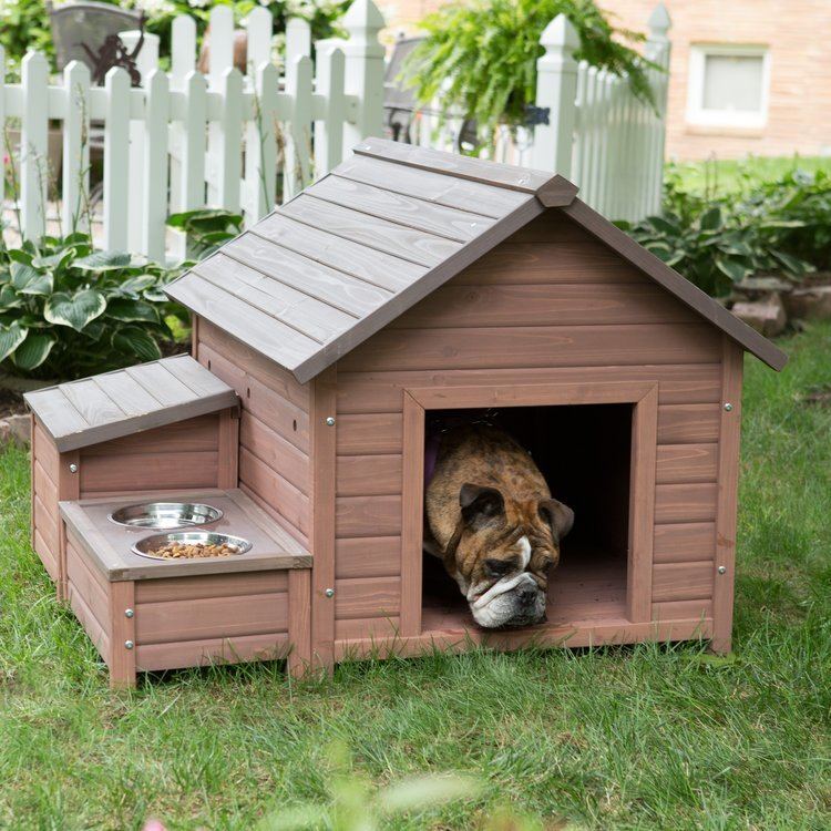 Doghouse Boomer amp George Stair Case Dog House Dog Houses at Hayneedle
