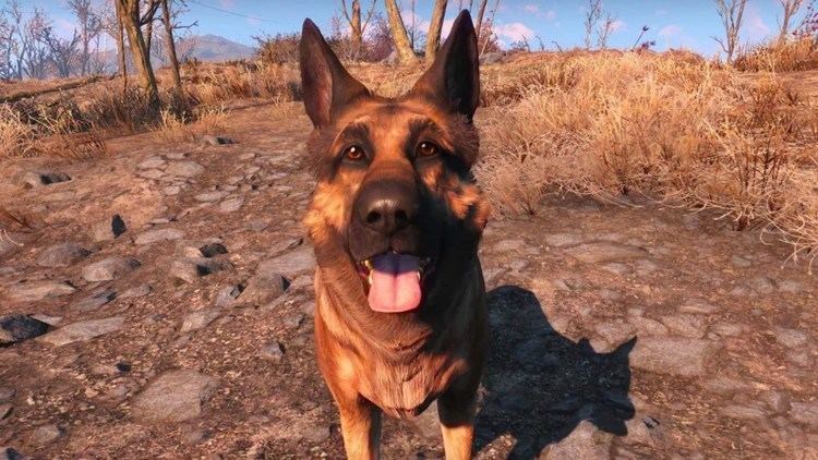 Dogmeat Everyone39s Best Friend Dogmeat and Companion At Same Time No