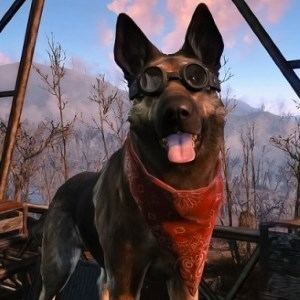 Dogmeat wwwthumbstickscomwpcontentuploads201511dre