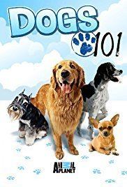 Dogs 101 Dogs 101 TV Series 2008 IMDb