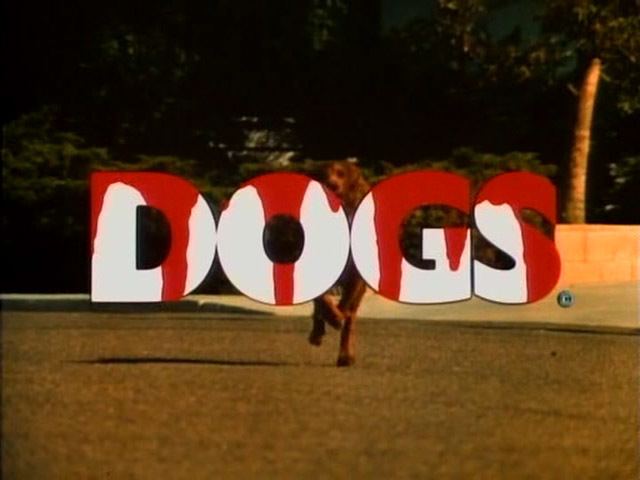 Dogs (1976 film) Dogs 1976 THIS FILM IS BETTER THAN YOU DEAL WITH IT