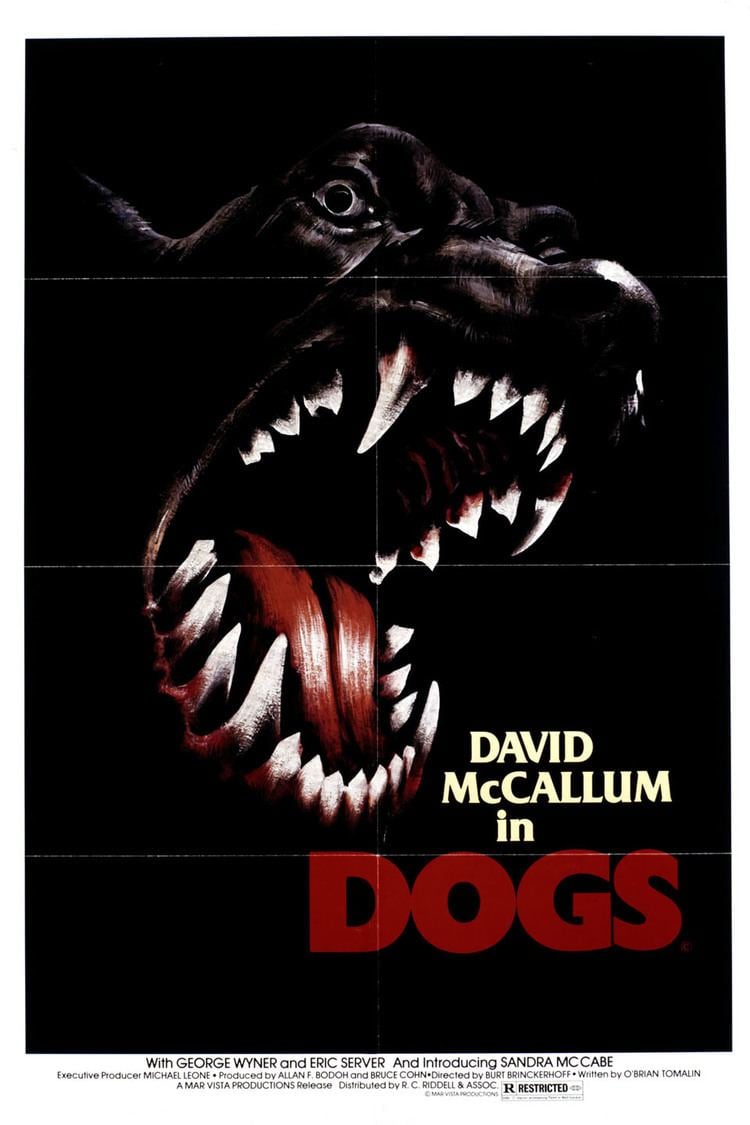 Dogs (1976 film) wwwgstaticcomtvthumbmovieposters47765p47765