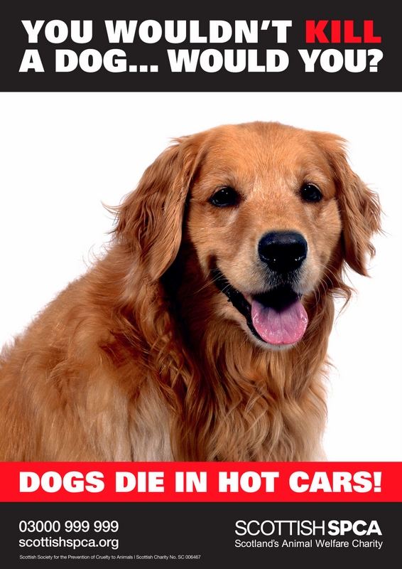 Dogs Die in Hot Cars dogsdieinhotcarsposter Mark Walden TSO