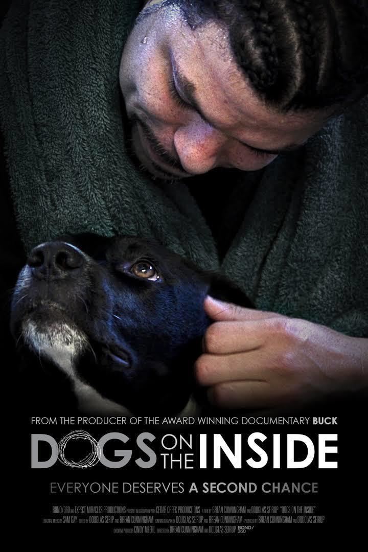 Dogs On The Inside t0gstaticcomimagesqtbnANd9GcRF51w9AYqndR1u