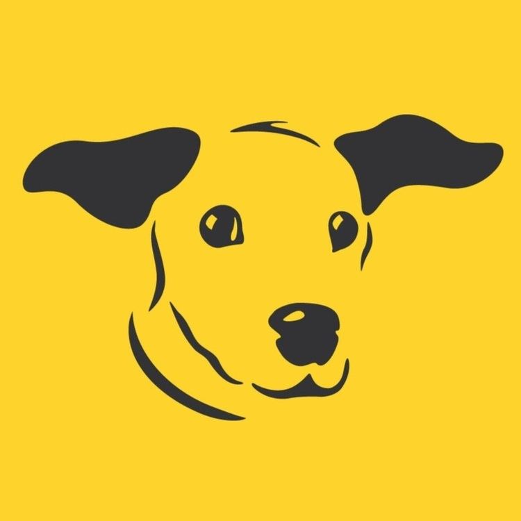 Dogs Trust httpslh6googleusercontentcomujEDQ2yEk00AAA