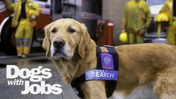 Dogs with Jobs Dogs with Jobs Wikipedia