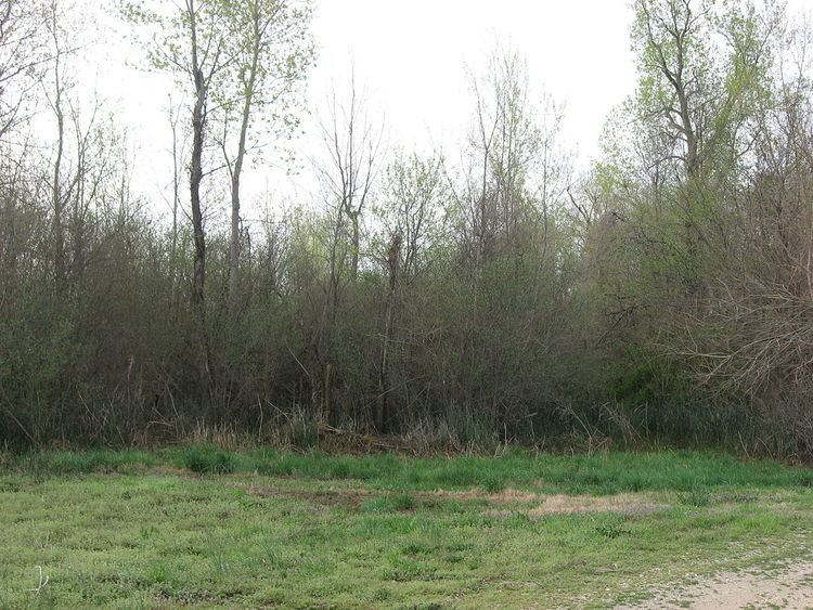 Dogtooth Bend Mounds and Village Site