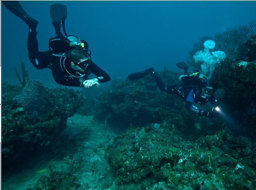Doing It Right (scuba diving)