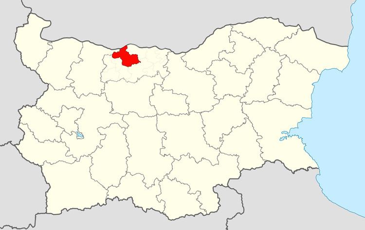 Dolna Mitropoliya Municipality