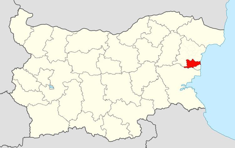 Dolni Chiflik Municipality