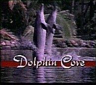 Dolphin Cove (TV series) httpsuploadwikimediaorgwikipediaen77aDol