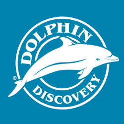 Dolphin Discovery httpslh3googleusercontentcomDXAoofe1rq4AAA
