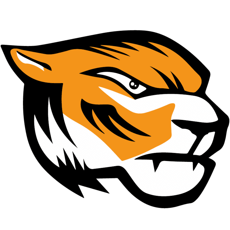 Domžale Tigers Domale Tigers Ekipa amerikega nogometa