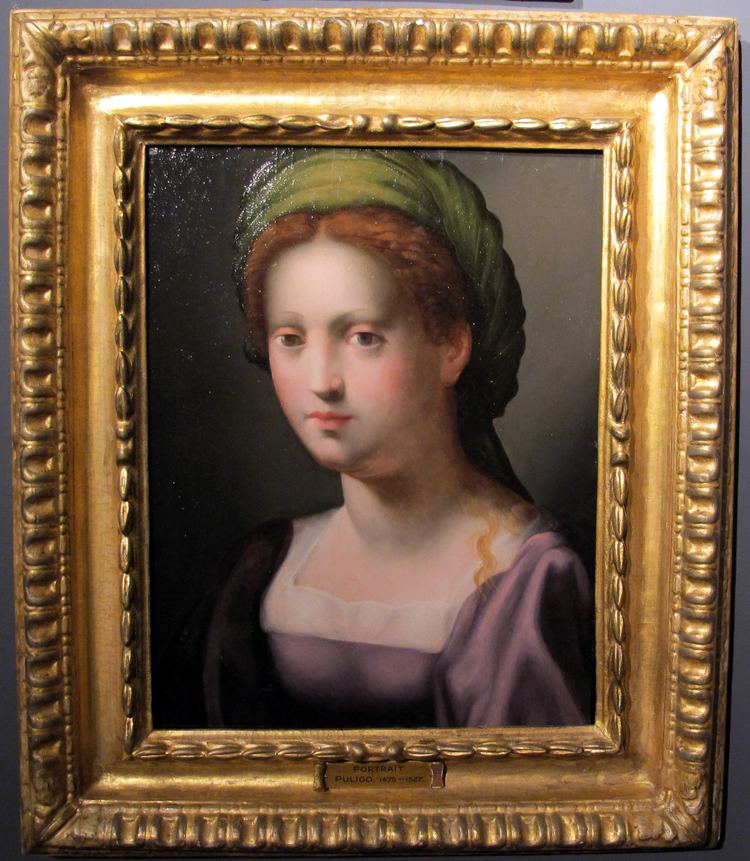 Domenico Puligo FileDomenico puligo ritratto di donna come sibilla 485x37 cm