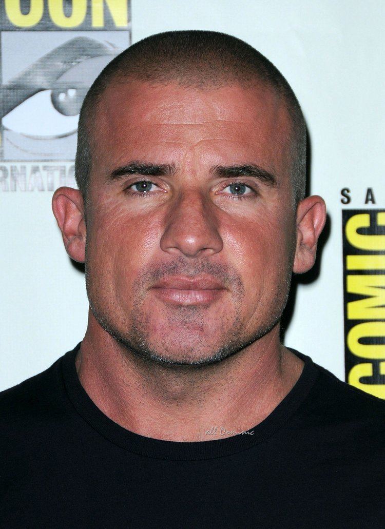 Dominic Purcell Quotes by Dominic Purcell Like Success