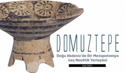 Domuztepe DOMUZTEPE Aktel Arkeoloji