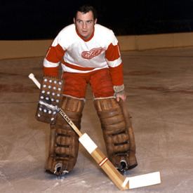 Don McLeod Don McLeod Detroit Red Wings 197071 Hockey Pinterest Red