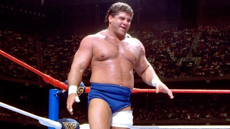 Don Muraco Don Muraco WWE