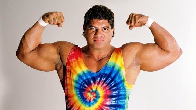 Don Muraco Don Muraco Online World of Wrestling