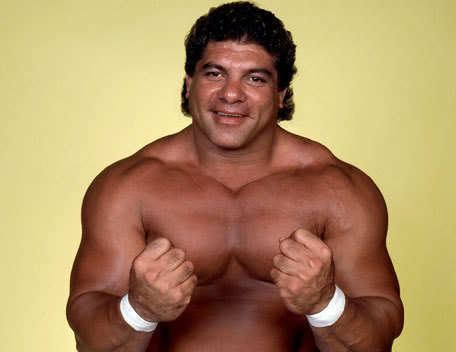 Don Muraco Don Muraco On The Night Of The Snuka Murder Hulk Hogan