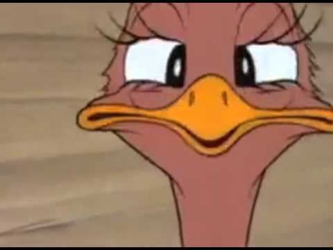 Donald's Ostrich Donald Duck Short Donalds Ostrich 1937 YouTube