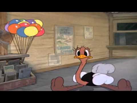 Donald's Ostrich Donald Duck Donalds Ostrich YouTube