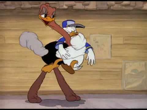 Donald's Ostrich Donald Duck Donalds Ostrich 1937 YouTube