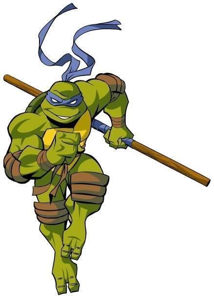 Donatello (Teenage Mutant Ninja Turtles) Donatello Teenage Mutant Ninja Turtles Photo This Photo was