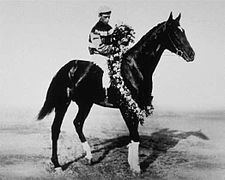 Donau (horse) httpsuploadwikimediaorgwikipediacommonsthu