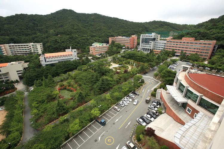Dong-eui University Study in Korea run by Korea Government