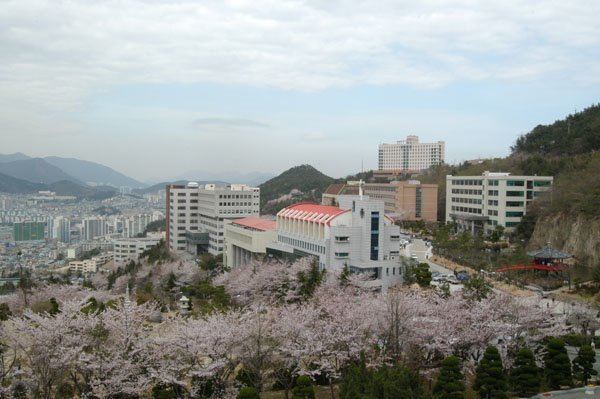 Dong-eui University Panoramio Photo of Dongeui University