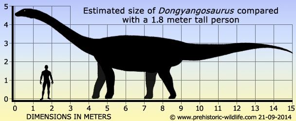 Dongyangosaurus wwwprehistoricwildlifecomimagesspeciesddong