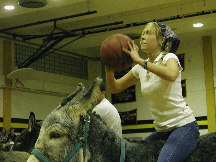 Donkey basketball