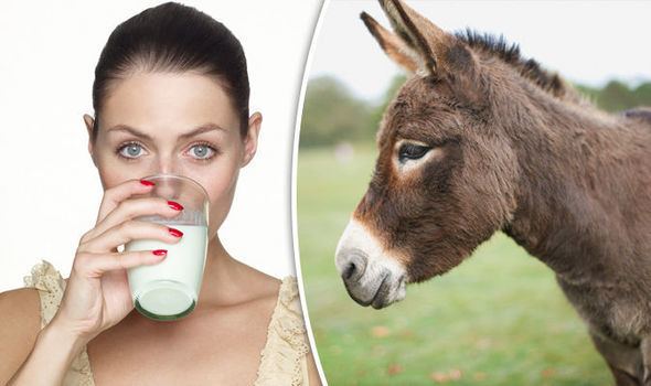 Donkey milk Want a healhthier heart Why you NEED to be drinking DONKEY milk