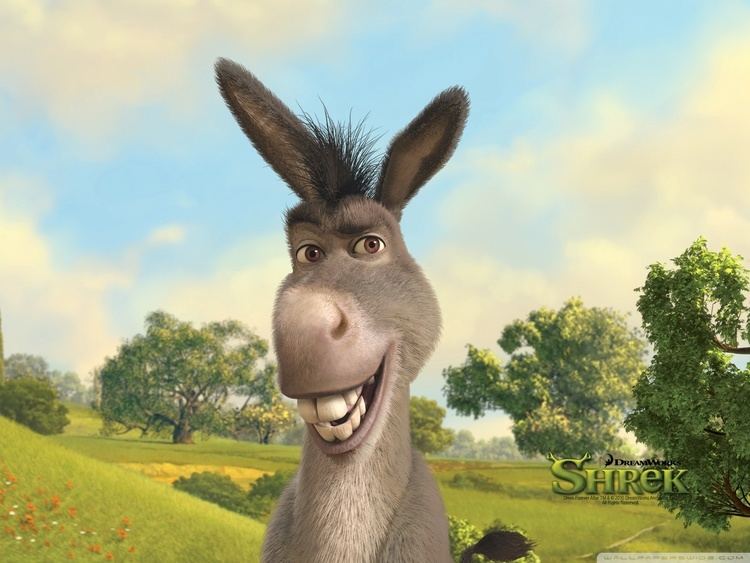 Donkey (Shrek) Donkey Shrek The Final Chapter HD desktop wallpaper Widescreen