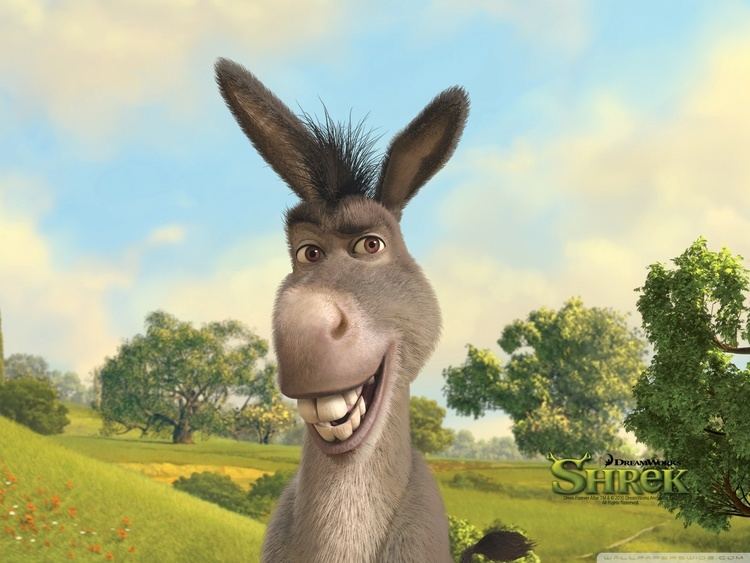 Donkey smiling with trees in the background, a gray donkey with brown eyes and a black mane fictional character in the film series Shrek