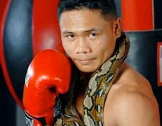 Donnie Nietes Ahas Nietes All about Pinoy Pride The Boxing Tribune