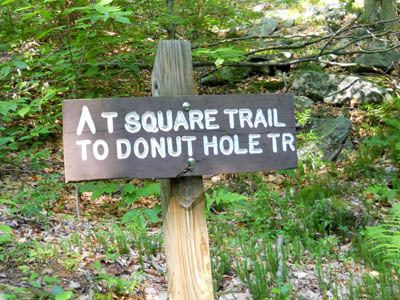 Donut Hole Trail httpswwwpahikescomimagesstoriestrailspict