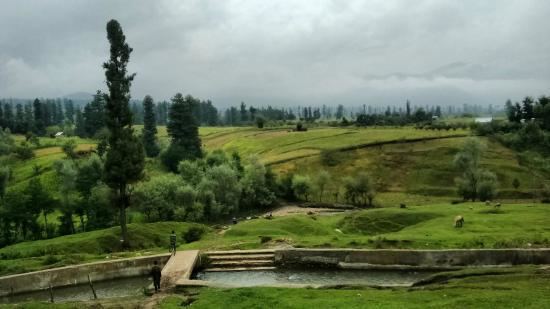 Doodhpathri Doodhpathri Kashmir Top Tips Before You Go TripAdvisor