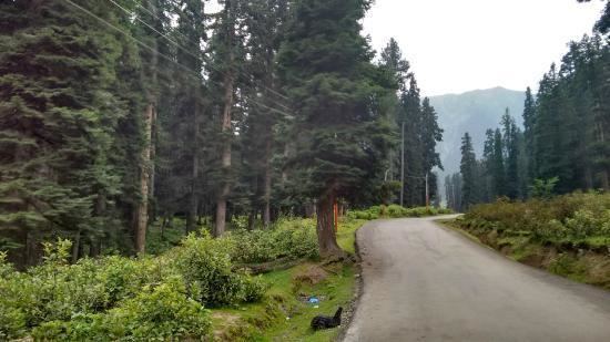 Doodhpathri Doodhpathri Kashmir Top Tips Before You Go TripAdvisor