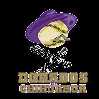 Dorados de Chihuahua httpsuploadwikimediaorgwikipediaen446Dor