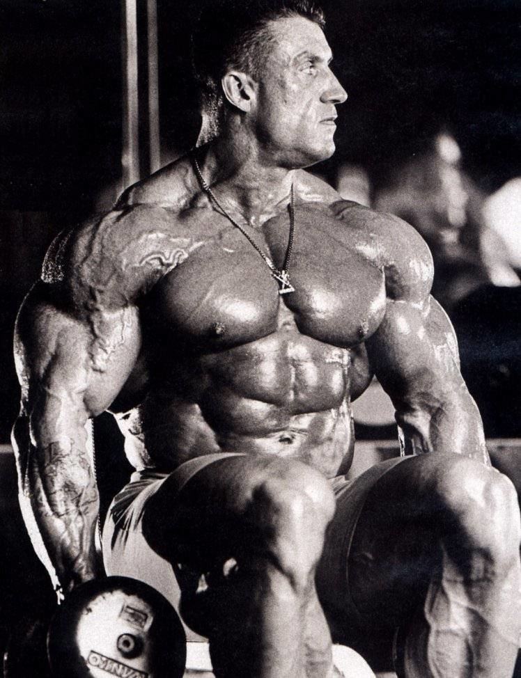 Dorian Yates Dorian Yates Workout Routines TRAINING