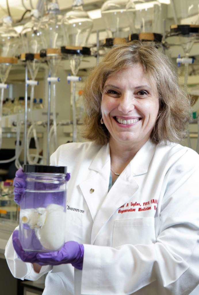 Doris Taylor Houston establishes itself as a pioneer in regenerative medicine