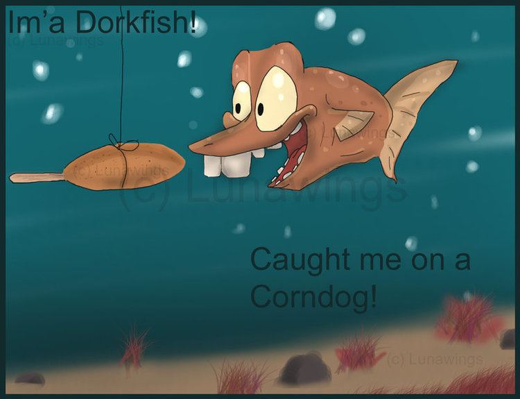 Dorkfish img12deviantartnetb9cfi200704182imador