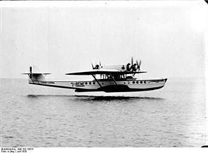 Dornier Do R httpsuploadwikimediaorgwikipediacommonsthu