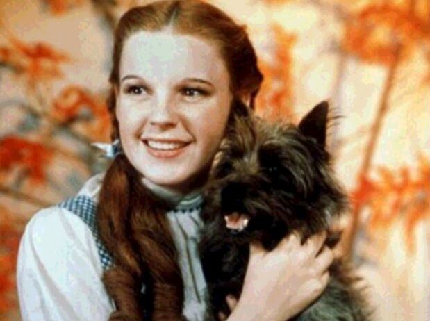 Dorothy Gale Dorothy Gale images The Beautiful Dorothy Gale wallpaper and