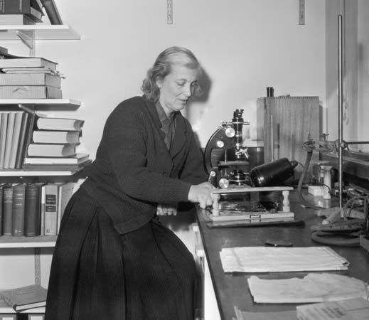 Dorothy Hodgkin Dorothy Hodgkin English chemist Britannicacom