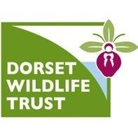 Dorset Wildlife Trust httpslh4googleusercontentcomQGwjWtFzaQAAA